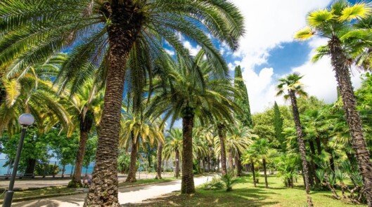 Территория отеля