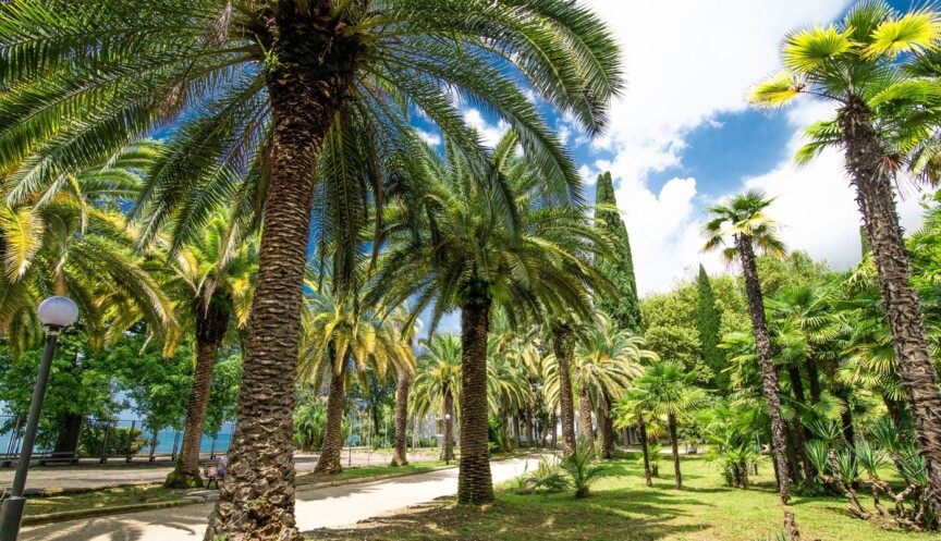 Территория отеля