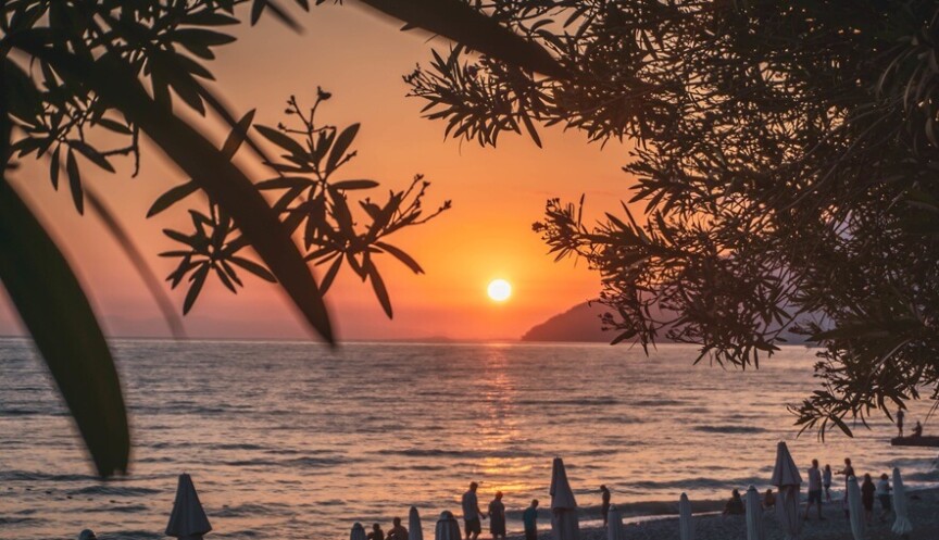  Видеогалерея